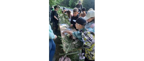 Waldjugendspiele 1 Kinder der dritten Klassen bei den Waldjugendspielen.