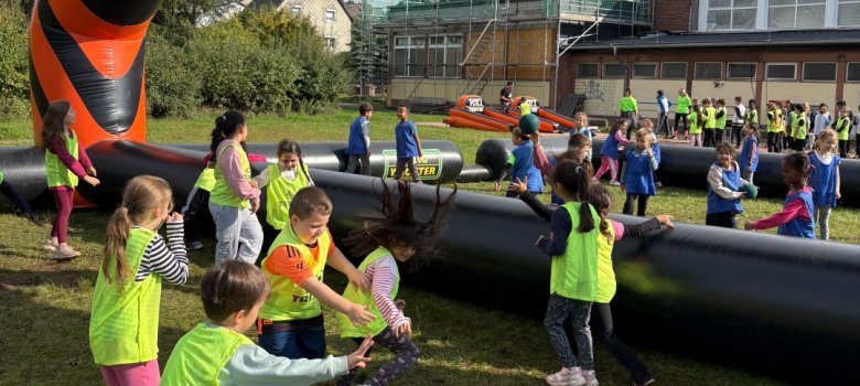 TRIXITT Zweifelderball TRIXITT Zweifelderball